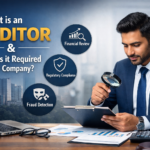 what is auditor